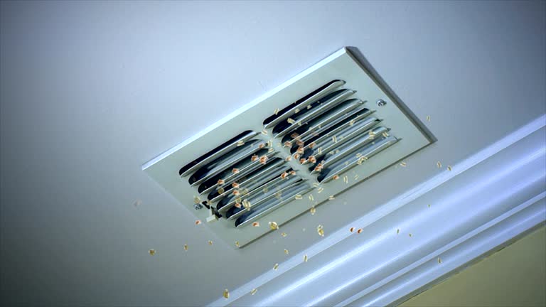 Best HVAC System Cleaning  in Dyersburg, TN