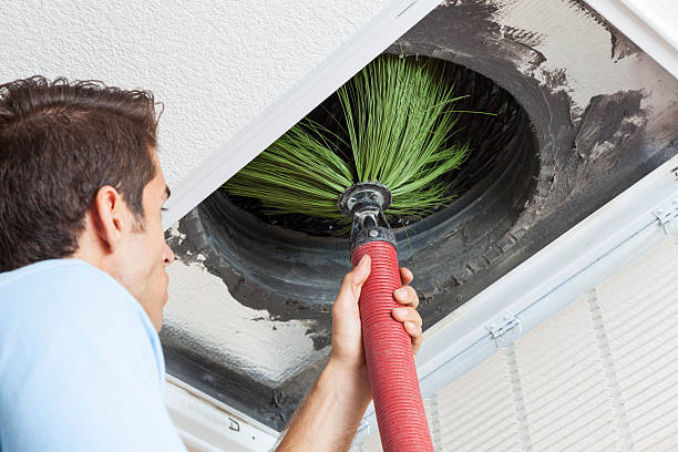 Best Dryer Vent Cleaning Services  in Dyersburg, TN